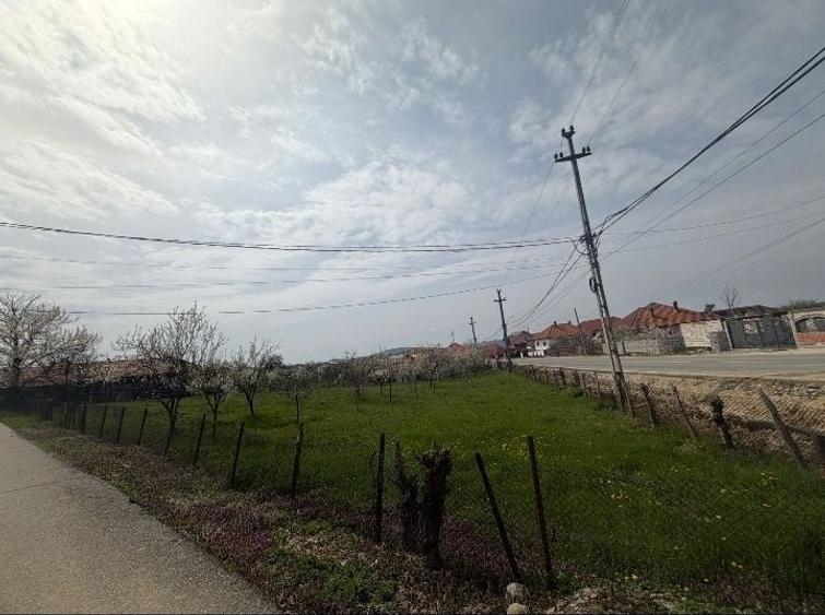 Teren de 1500 mp, în Nord-Est