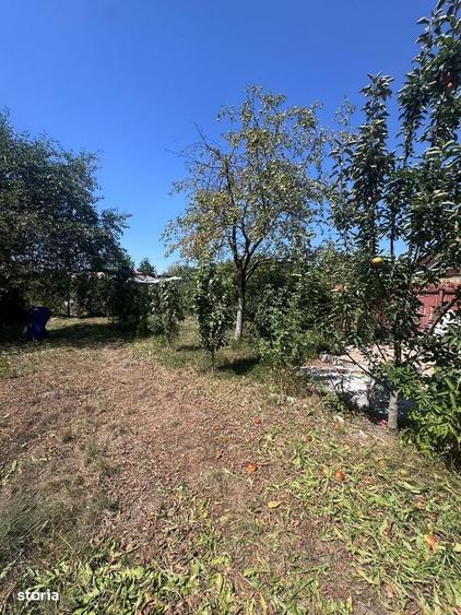 Casă cu 2 camere în Central