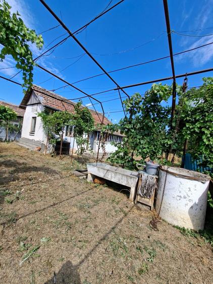 Casă cu 3 camere în Rogova