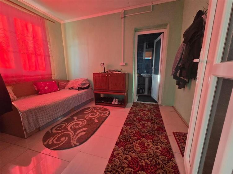 Casă individuală cu 2 camere cu Teren 2489 Mp în Homorog