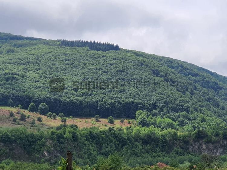 Teren extravilan de 100000 mp, în Șuncuiș