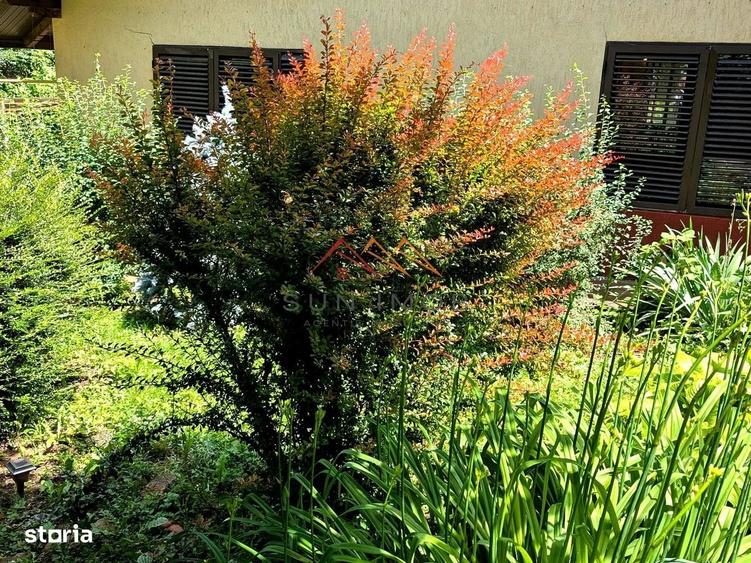 Casă cu 3 camere în Poiana