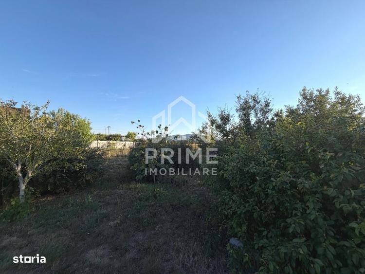 Spațiu comercial, în Ighiu