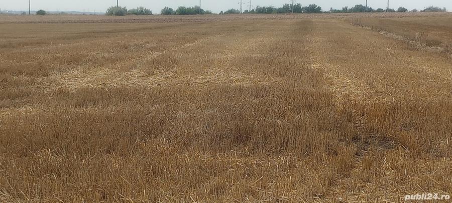 Teren de 9300 mp, în Sud