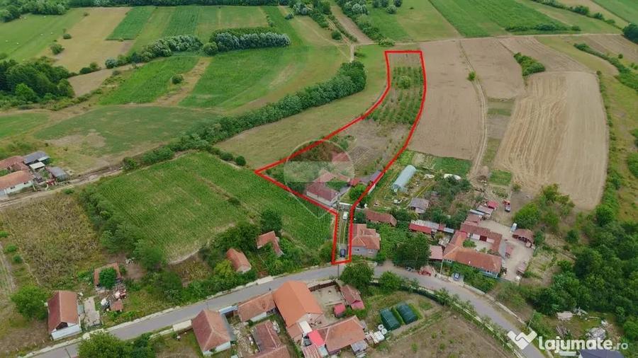Casă cu 3 camere cu Teren 8788 Mp în Forosig