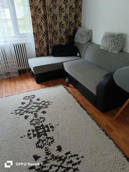 Garsonieră în Broșteni