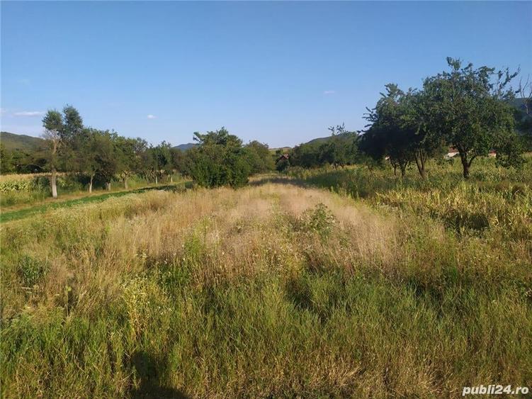 Teren de 2000 mp, în Brănișca