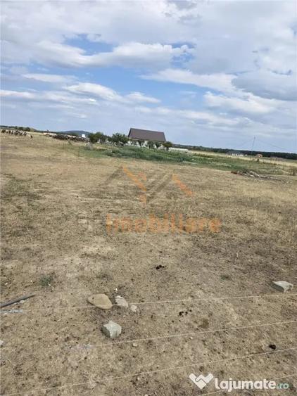 TEREN INTRAVILAN 568 MP | PROIECT CASA | CIHEI - SANMARTIN | - 5