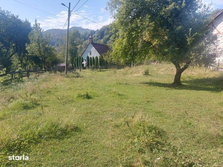 Teren de 1784 mp, în Avram Iancu