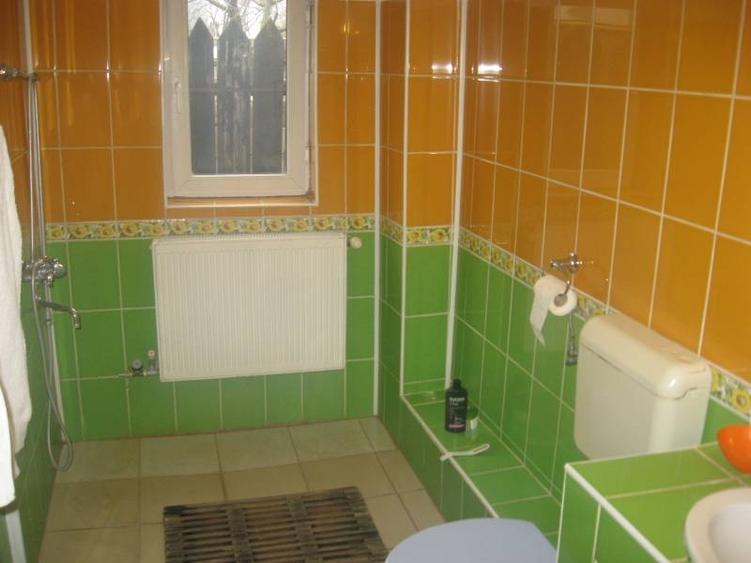 Casă cu 5 camere cu Canalizare în Bucureștii Noi