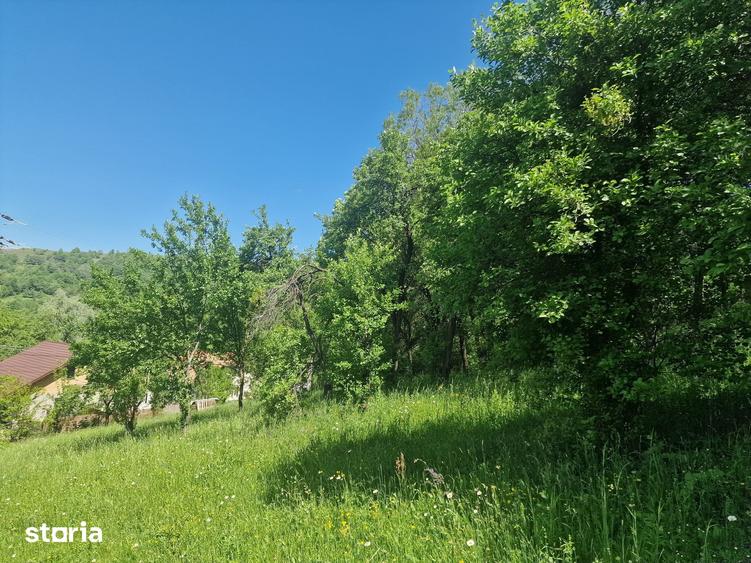 Teren de 3186 mp, în Poiana