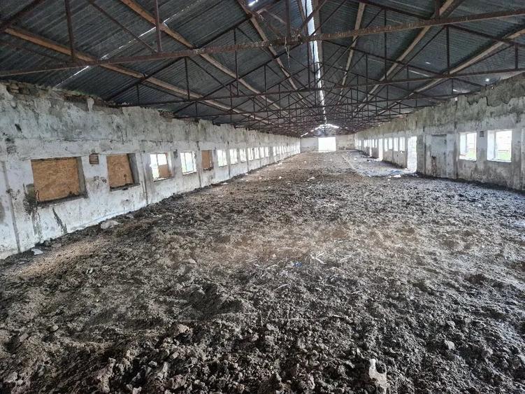 Teren de 15000 mp, în Cămărașu