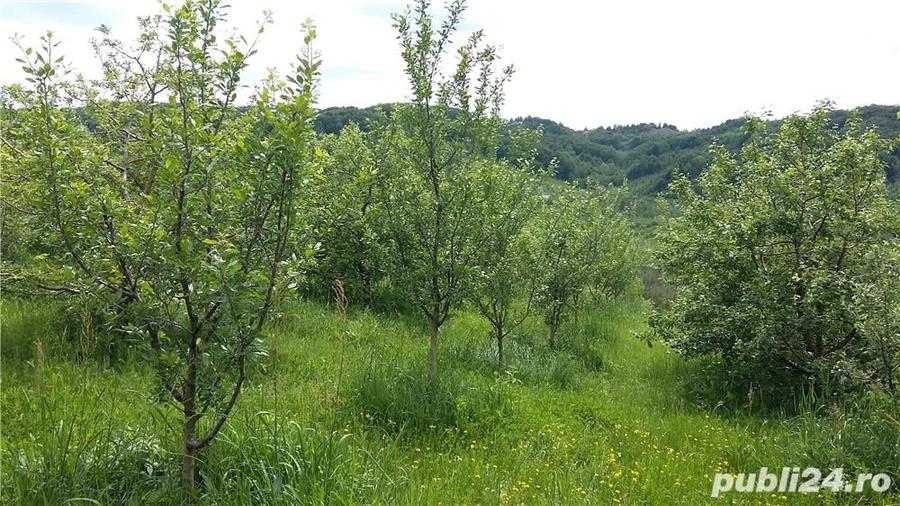 Teren de 20000 mp, în Gura Bărbulețului