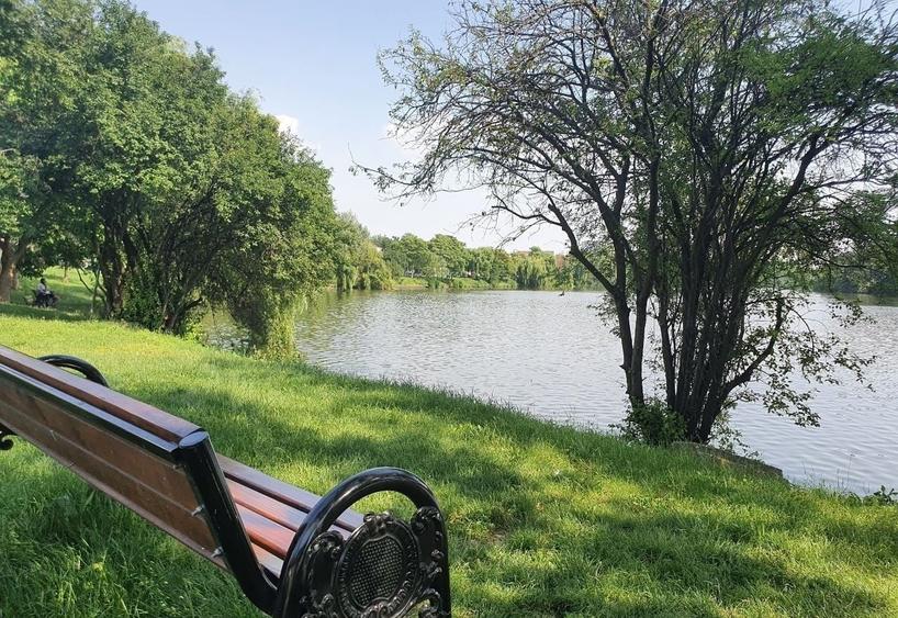 Apartament cu 3 camere decomandat, mobilat în Băneasa