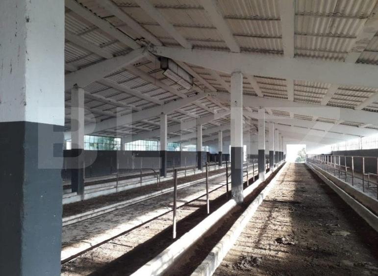 Teren Construcții intravilan de 950000 mp, în Exterior Nord