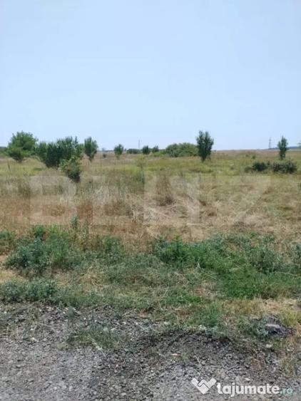 Teren de 500 mp, în Brestei