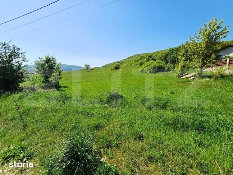 Teren de 5000 mp, în Viișoara