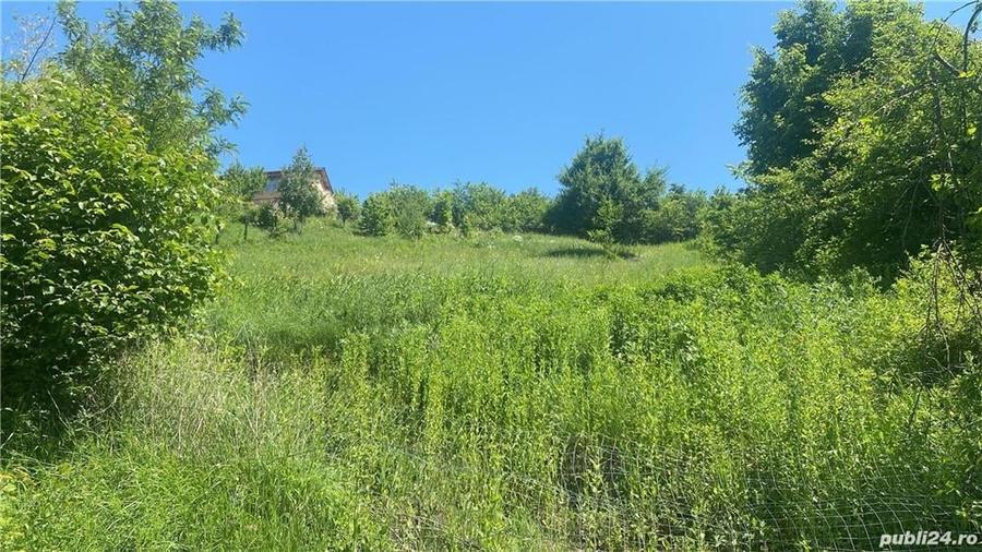 Teren de 5531 mp, în Drajna