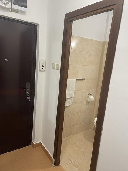 Apartament cu 2 camere semidecomandat în Valea Rosie