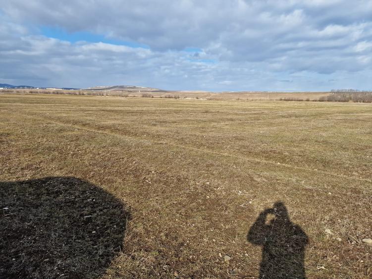 Teren agricol extravilan de 10000 mp, în Est