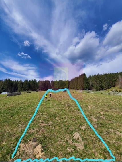 Teren intravilan 2500 mp in Valea Doftanei - 4
