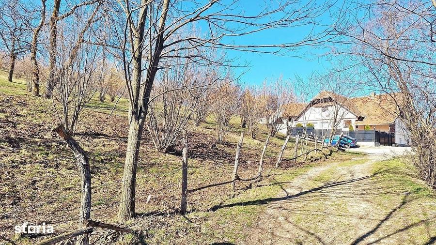 Spațiu comercial, în Tohanu Nou