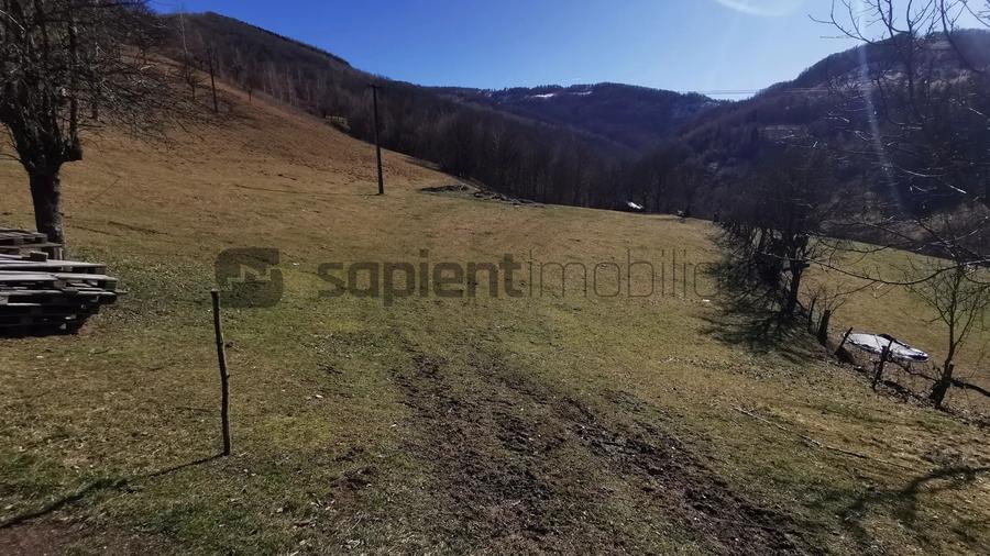 Teren Construcții intravilan de 10100 mp, în Munteni