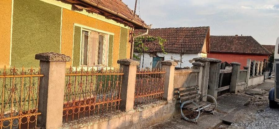 Casă cu Teren 10000 Mp în Saca