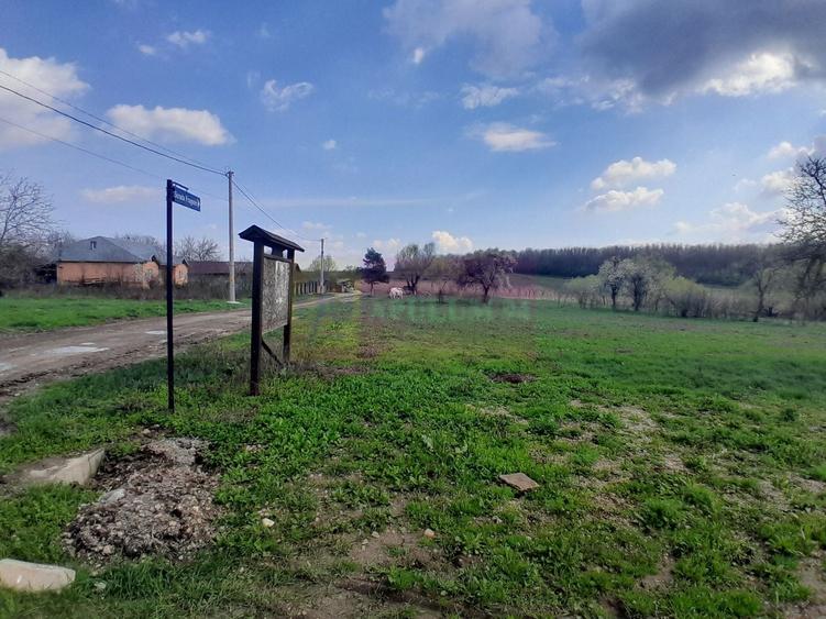 Teren Construcții intravilan de 3400 mp, în Buturugeni