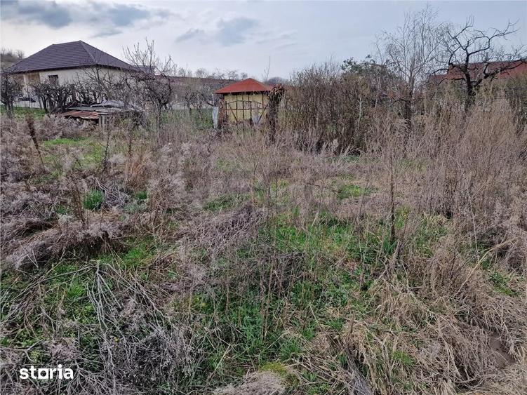 Teren de 498 mp, în Oncea
