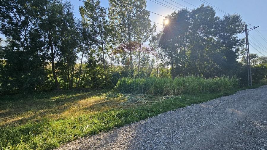 Teren Construcții intravilan de 7500 mp, în Moara Carp