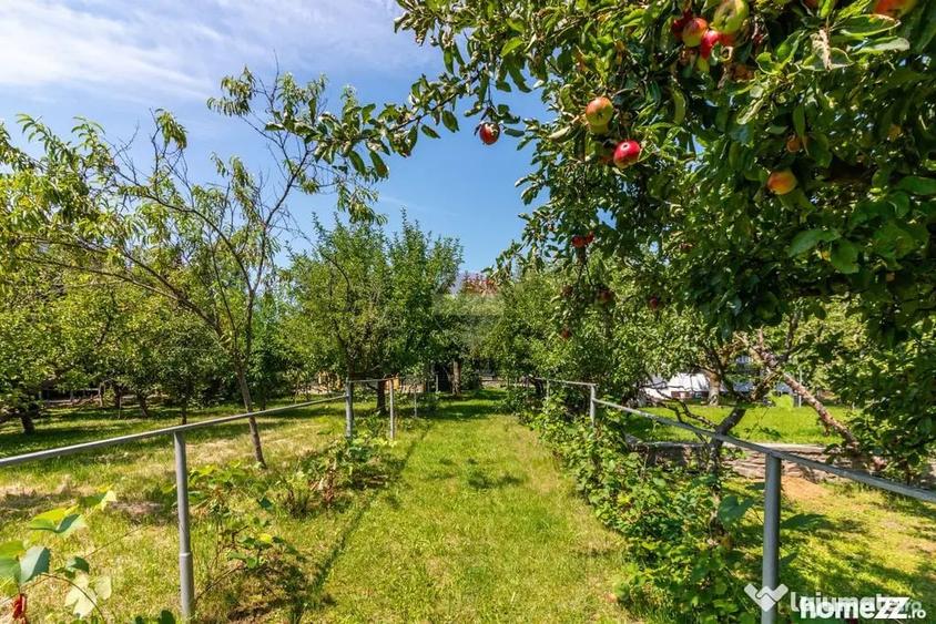 Casă cu 7 camere cu Teren 3425 Mp în Central