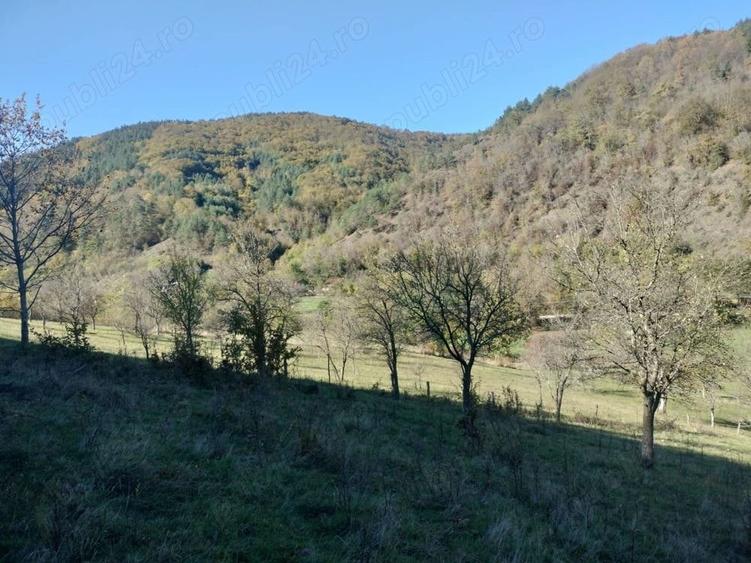 Teren de 3562 mp, în Vața de Sus