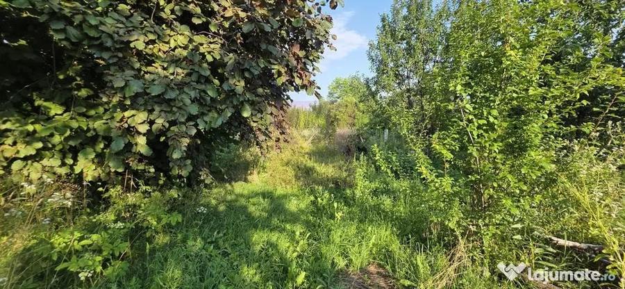 Teren intravilan 1430 mp de vanzare in Brebu - 1