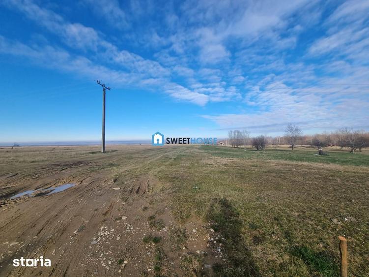 Teren de 22790 mp, în Recea