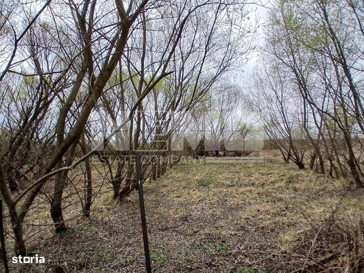 Teren De Vanzare I Suceava I 48.000 euro - 3