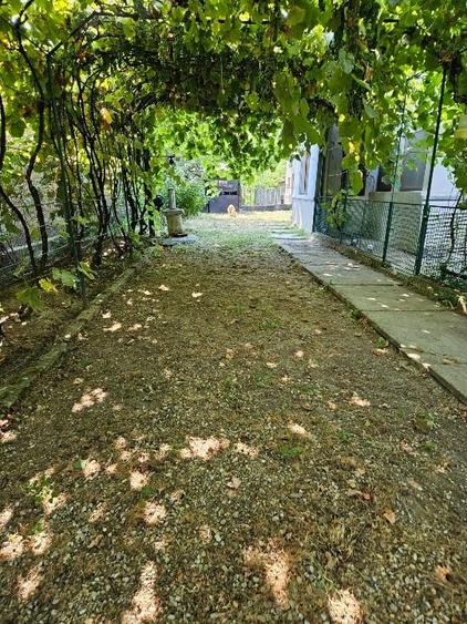 Casa locuibila 90 mp cu teren 1000 mp in Obobesti, Dambovita - 10