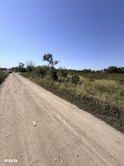 Teren de 4800 mp, în Costești