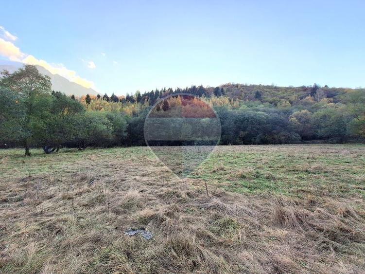 Teren agricol extravilan de 3981 mp, în Plaiul Foii