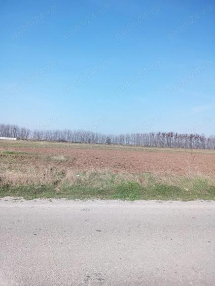 Teren de 500 mp, în Coșoveni