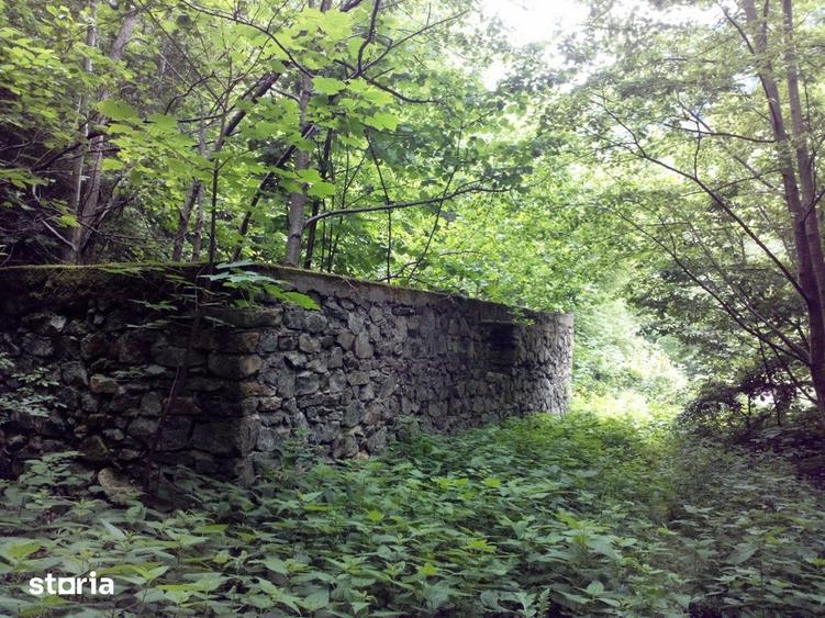 Teren de 5700 mp, în Râu de Mori