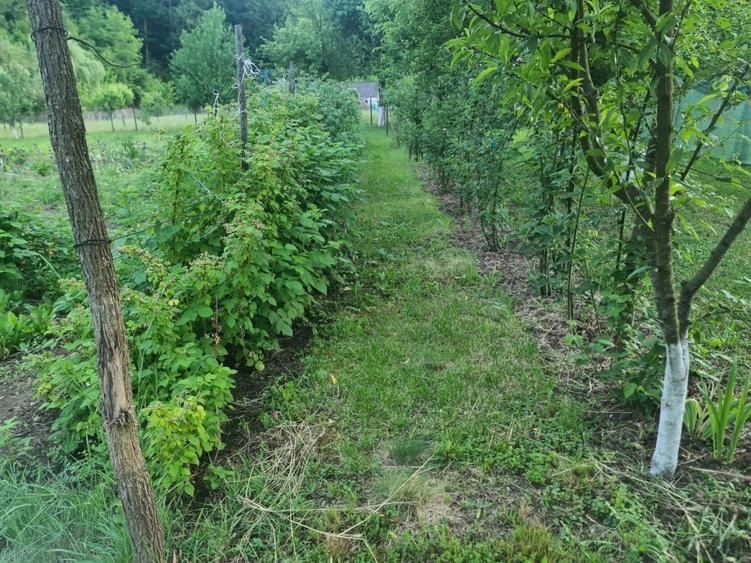 Casă individuală cu 3 camere cu Teren 1500 Mp în Central