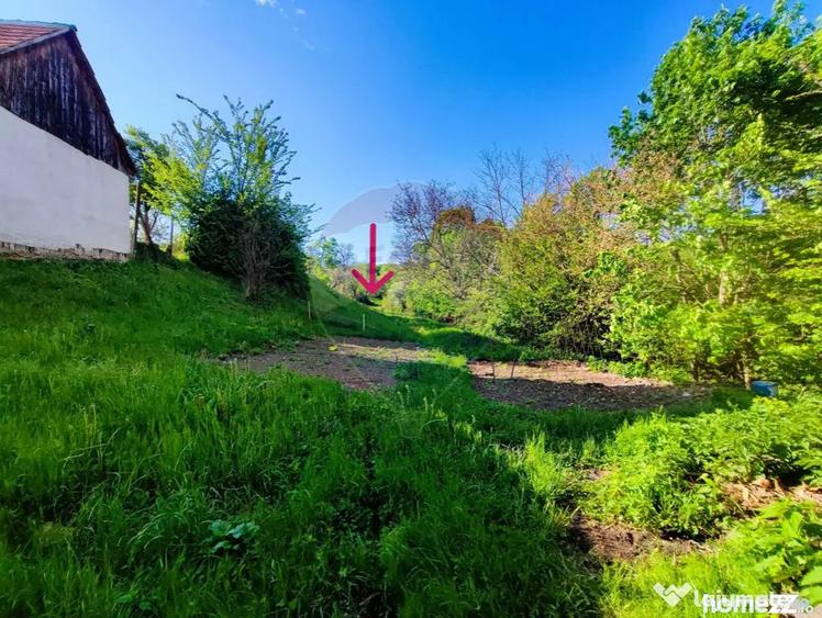 Casă cu 3 camere cu Teren 1757 Mp în Ultracentral
