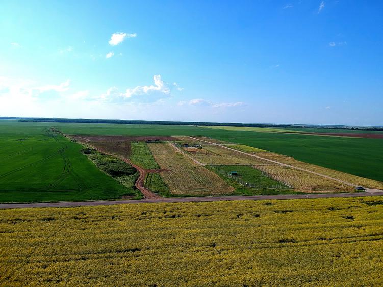 Teren Construcții intravilan de 660 mp, în Frumușani