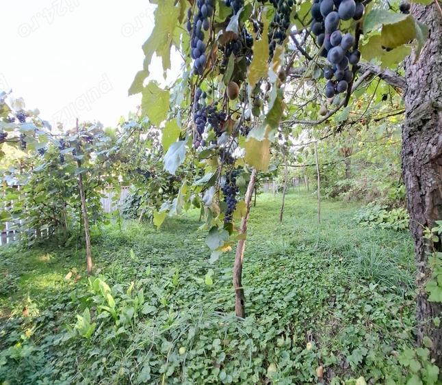 Teren de 3488 mp, în Ardeoani