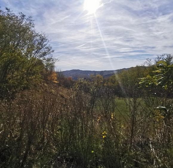 Teren intravilan de 2500 mp, în Vitioara de Sus
