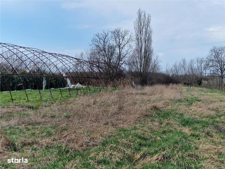 Casă cu 2 camere cu Teren 1114 Mp în Borș