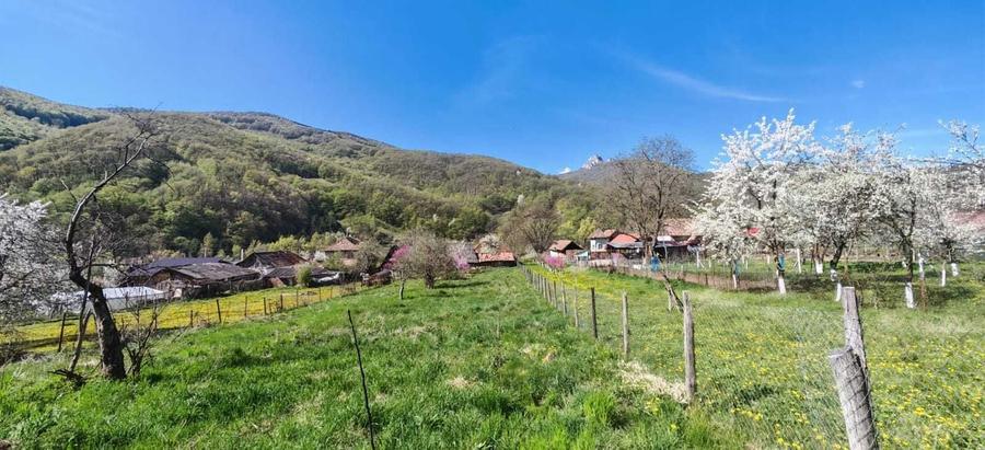 Casă cu 3 camere în Poiana Galdei