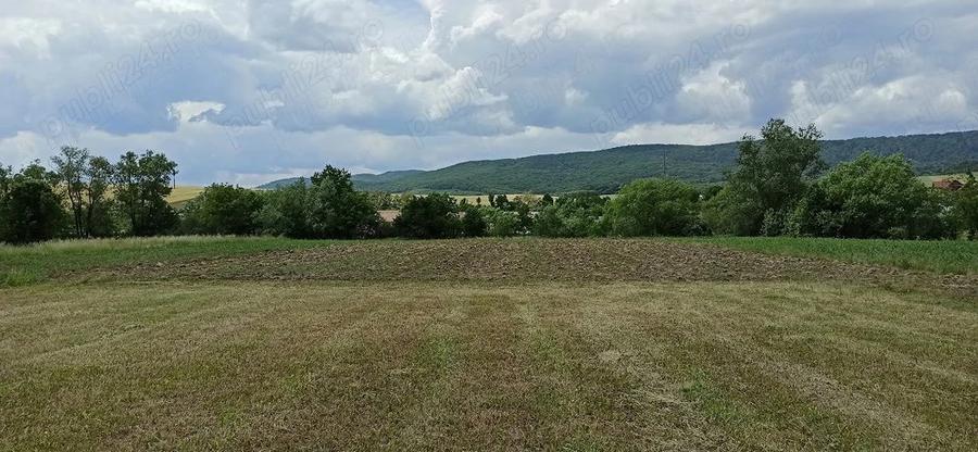 Casă cu 1 camere cu Teren 6517 Mp în Negrești