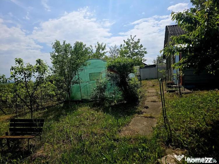 Teren de 4516 mp, în Doina